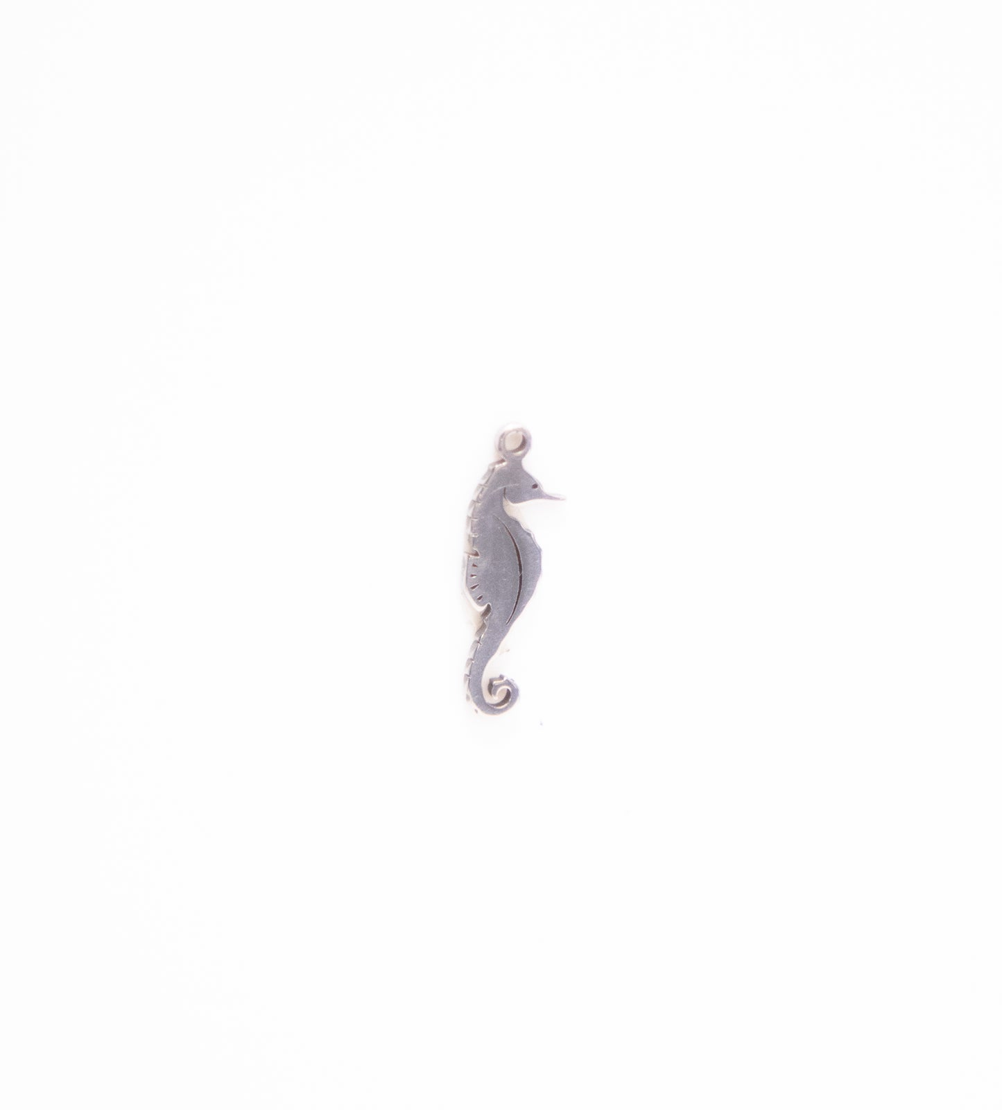 Silver Sea Horse Charm