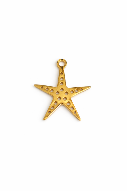Gold Star Fish Charm