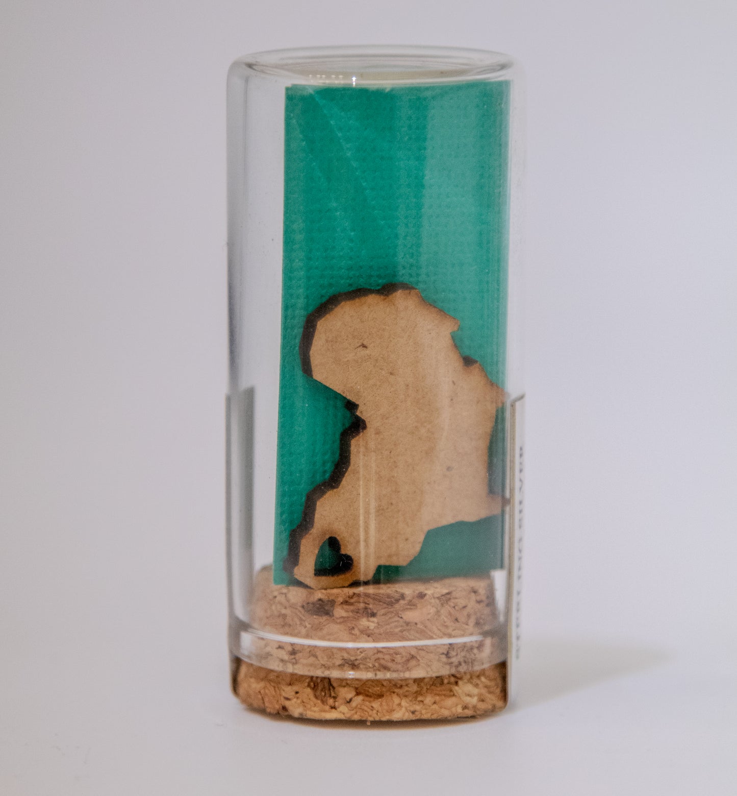 Map of Africa Earrings