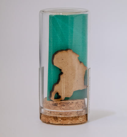 Map of Africa Earrings