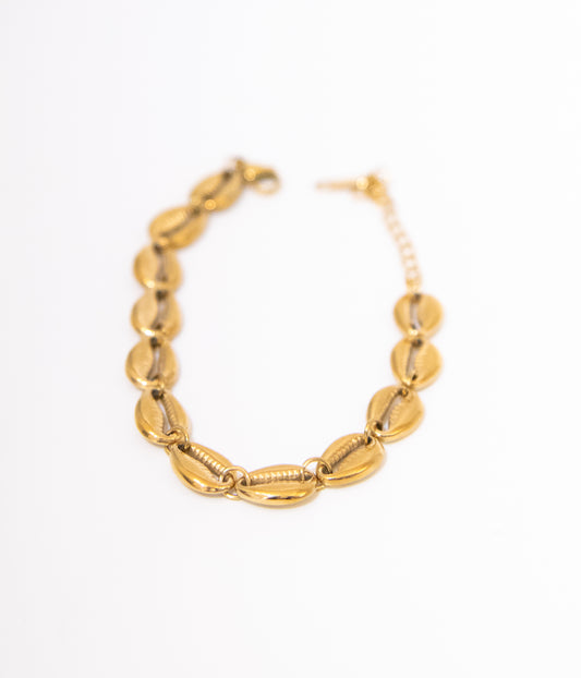 Shell Bracelet