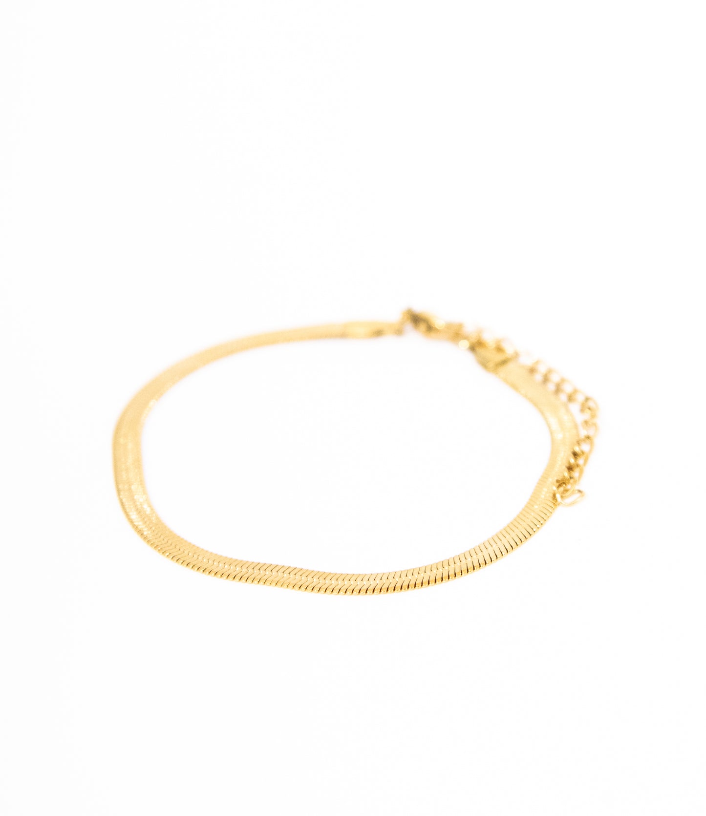 Snake Chain Bracelet
