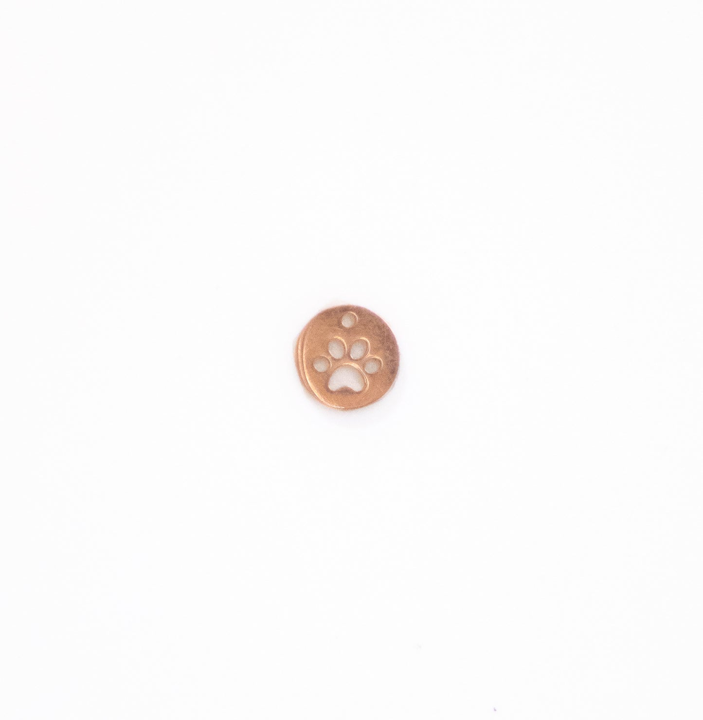 Silver Paw Print Charm