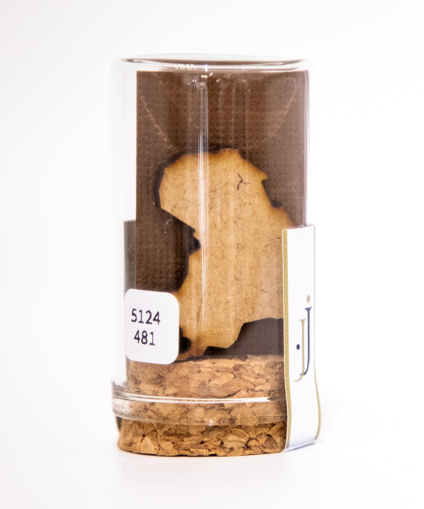 Elephant Dangling Studs