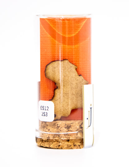 Elephant Trunk Up Studs